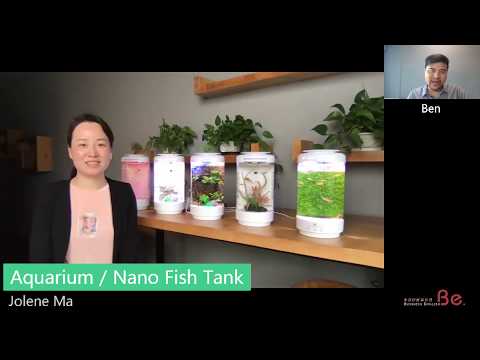 Desktop aquarium